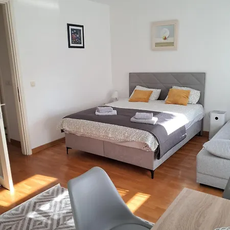 Manhattan Studio Seboj Belvil 贝尔格莱德 外观 照片